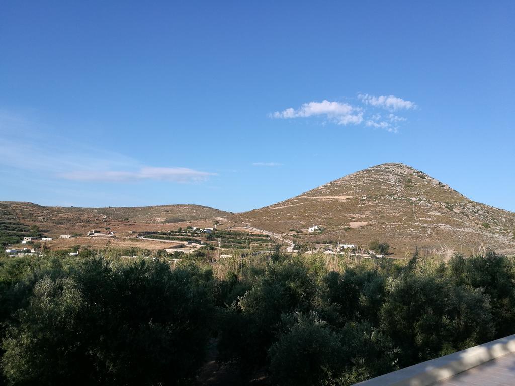 Naxos Olive & Home Engares Экстерьер фото